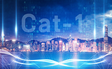 工信部重磅發(fā)文，Cat-1/NB-IoT再次站上新風(fēng)口