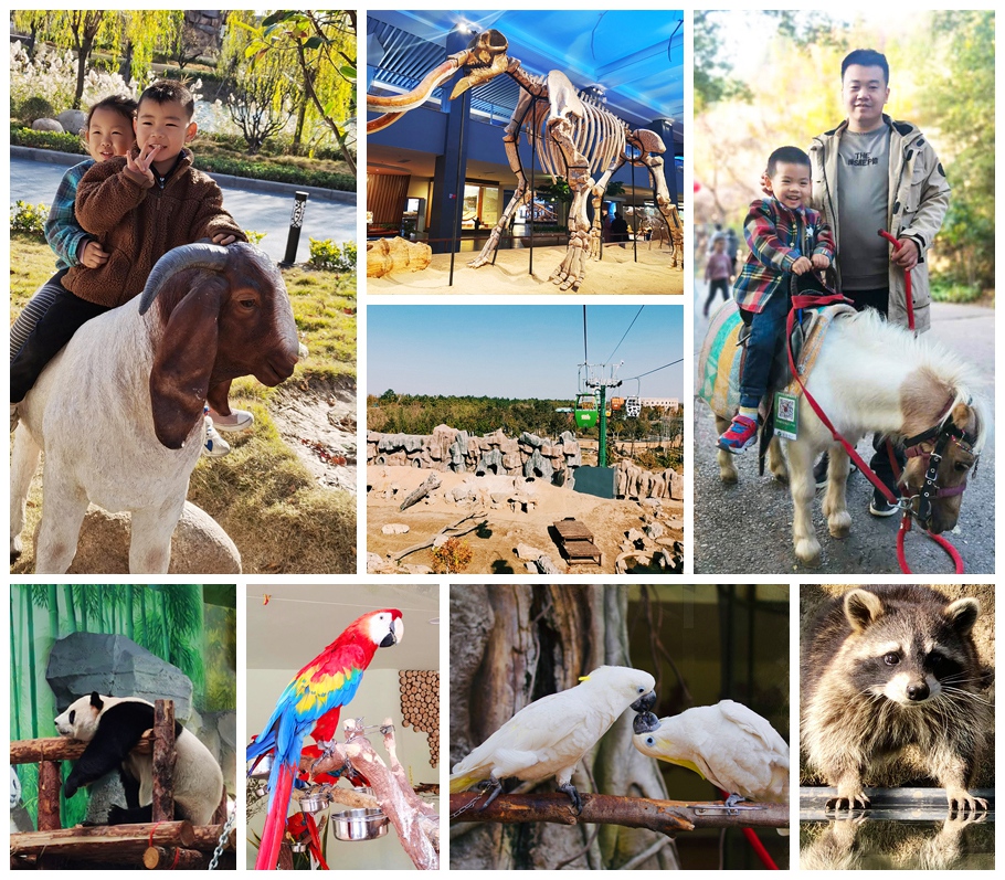 動物園拼圖